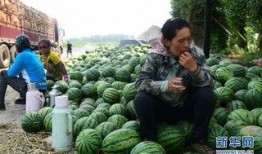 大城县吃瓜最新事件爆料,揭秘背后惊人真相